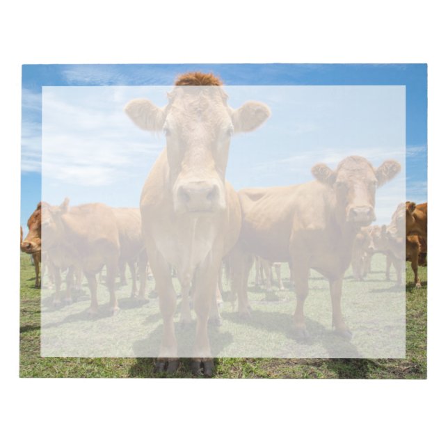 Farms | Brown Cow Group Notepad (Front)