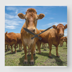 Farms   Brown Cow Group Square Wall Clock