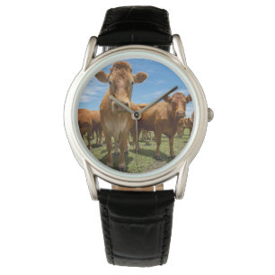 Farms   Brown Cow Group Watch