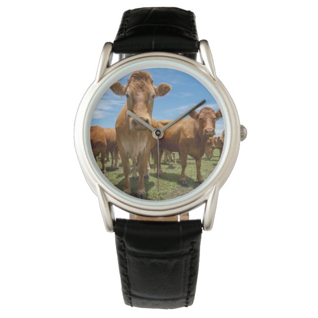 Farms | Brown Cow Group Watch (Front)