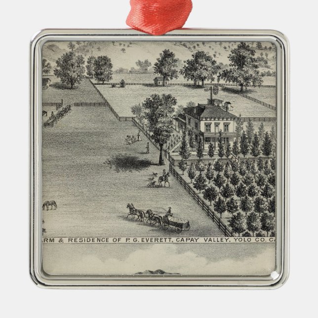 Farms, Capay Valley, Madison Metal Tree Decoration (Front)