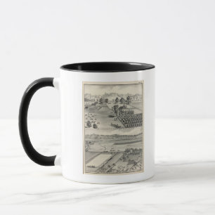 Farms, Capay Valley, Madison Mug