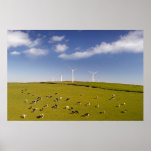 Farms   Cows Near Windmill Farm Poster