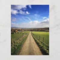 Farms | English Countryside Dirt Road