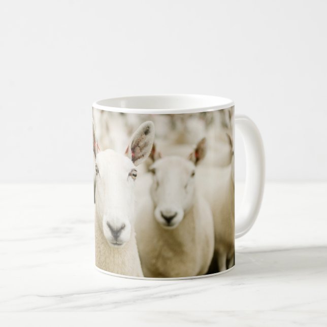 Farms | Herd of Sheep Coffee Mug (Front Right)