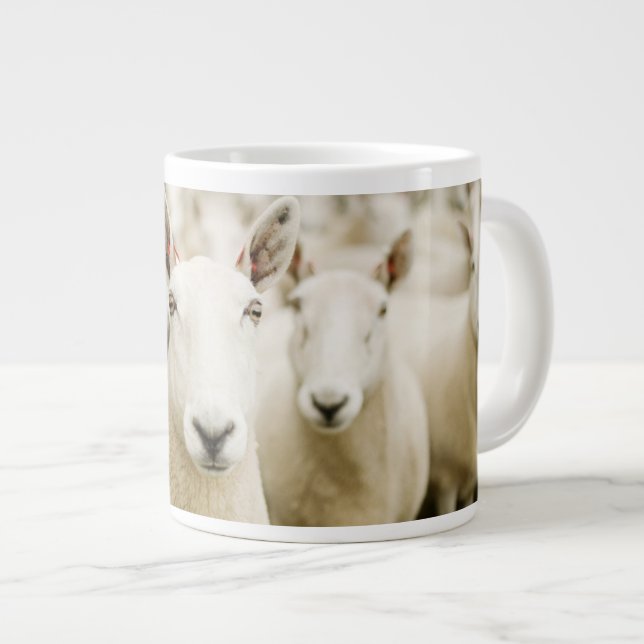 Farms | Herd of Sheep Large Coffee Mug (Front Right)