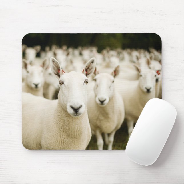 Farms | Herd of Sheep Mouse Pad (With Mouse)