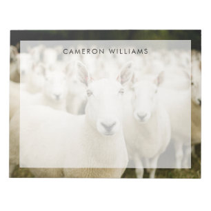 Farms Herd of Sheep Notepad