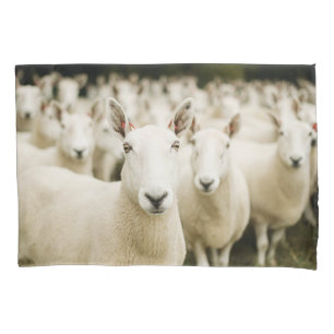 Farms   Herd of Sheep Pillowcase