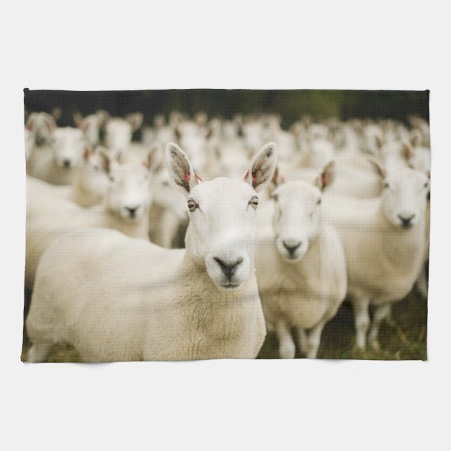 Farms | Herd of Sheep Tea Towel (Horizontal)