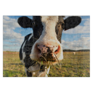 Farms Holstein Cow Chewing Cutting Board