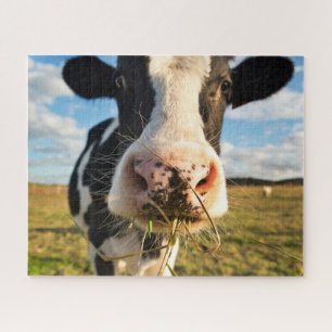 Farms   Holstein Cow Chewing Jigsaw Puzzle
