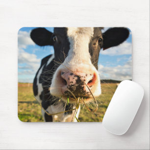 Farms   Holstein Cow Chewing Mouse Pad