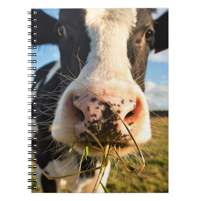 Farms | Holstein Cow Chewing Notebook (Front)