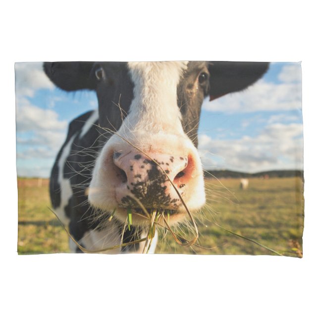 Farms | Holstein Cow Chewing Pillowcase (Front)