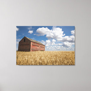Farms Old Red Barn in Wheat Field Canvas Print