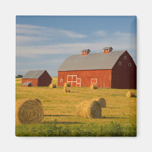 Farms   Red Barns Near Hay Bales Magnet