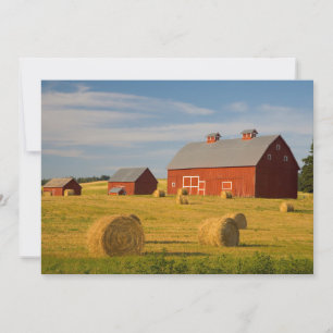 Farms   Red Barns Near Hay Bales Thank You Card