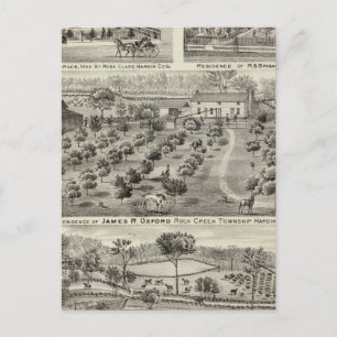 Farms & residences in Hardin County and Cairo Postcard