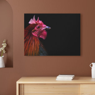 Farms Rooster Head Shot Canvas Print