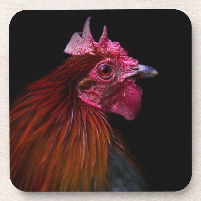Farms | Rooster Head Shot Coaster (Front)