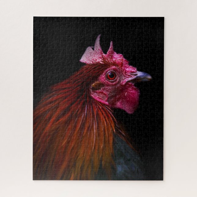 Farms | Rooster Head Shot Jigsaw Puzzle (Vertical)