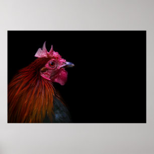 Farms   Rooster Head Shot Poster