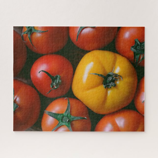 Farms | Shiny Red & Yellow Tomatoes Jigsaw Puzzle (Horizontal)