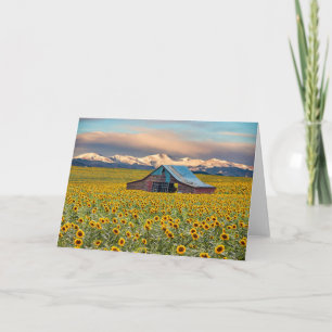 Farms Sunflower Field Card