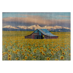 Farms   Sunflower Field Cutting Board
