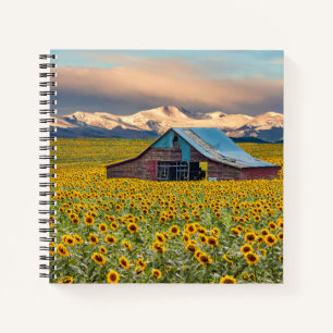 Farms   Sunflower Field Notebook