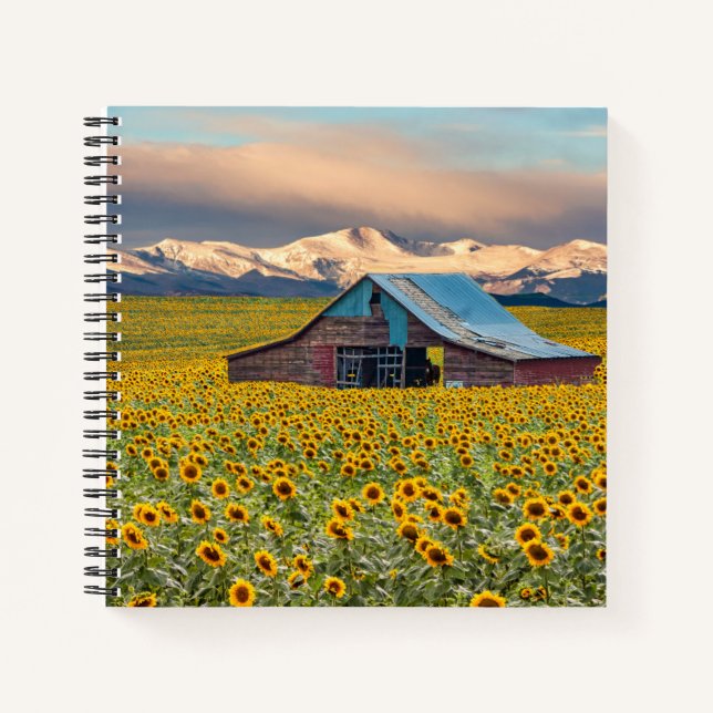 Farms | Sunflower Field Notebook (Front)