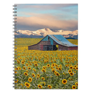 Farms Sunflower Field Notebook