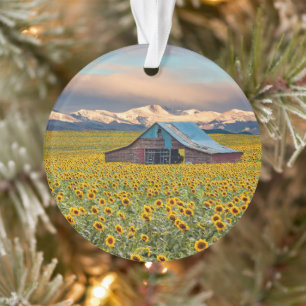 Farms   Sunflower Field Ornament