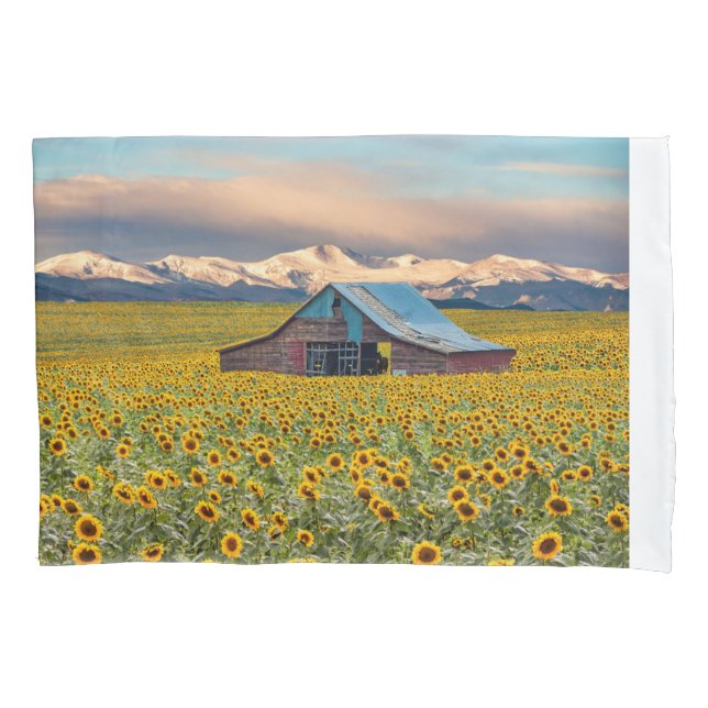 Farms | Sunflower Field Pillowcase (Front)