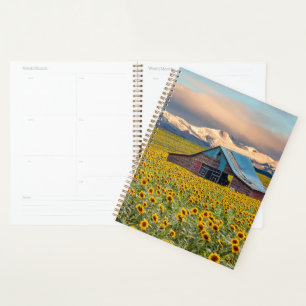 Farms Sunflower Field Planner