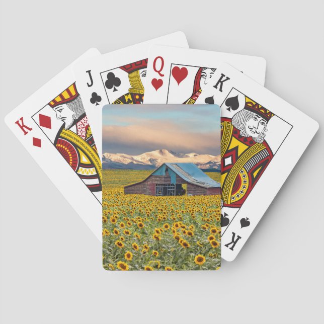 Farms | Sunflower Field Playing Cards (Back)
