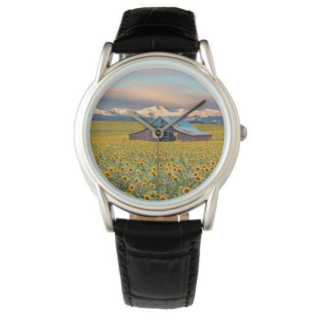 Farms | Sunflower Field Watch (Front)