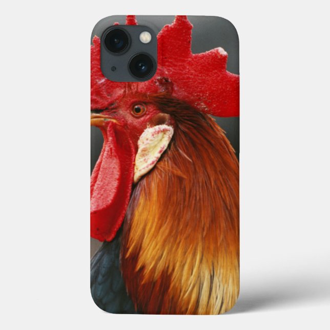 Farmyard Domestic Rooster Case-Mate iPhone Case (Back)