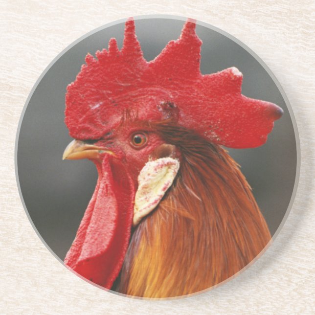 Farmyard Domestic Rooster Coaster (Front)
