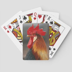 Farmyard Domestic Rooster Playing Cards