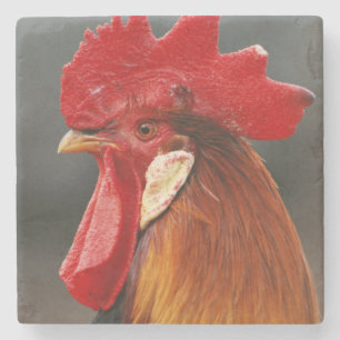 Farmyard Domestic Rooster Stone Coaster
