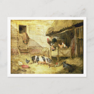 Farmyard Scene Postcard