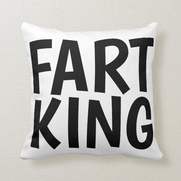 funny throw pillow