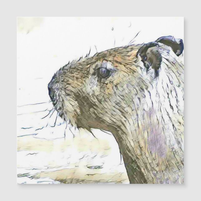 fascinating altered animals - Capybara (Front)