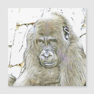 fascinating altered animals - Gorilla