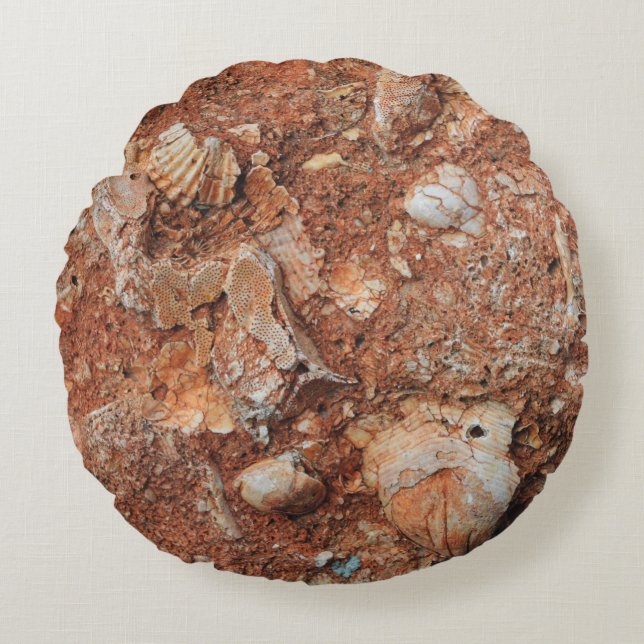 Fascinating Fossils Round Cushion (Front)