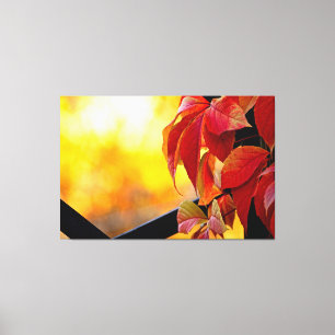Fascinating red vine leaves in the autumn garden canvas print