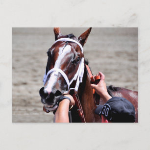 Fashion Alert wins the Schuylerville Postcard