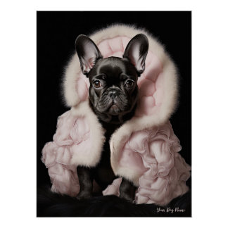 Fashion Show, French Bulldog 01 - Jonathan Bonheur Poster